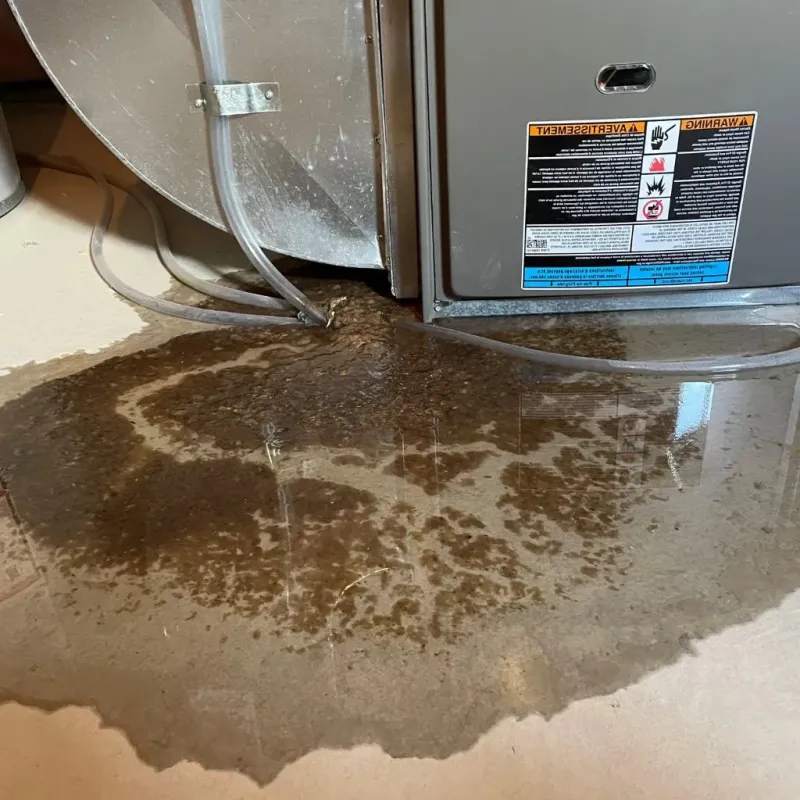 Pipe Burst and Leak Restoration in Wymore, NE